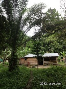 Gabon village
